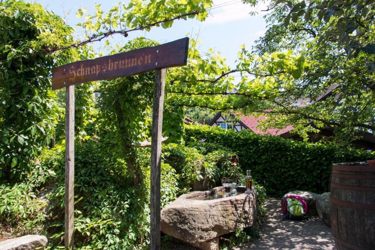 Terrassenpark Apartments Sasbachwalden Exteriör bild